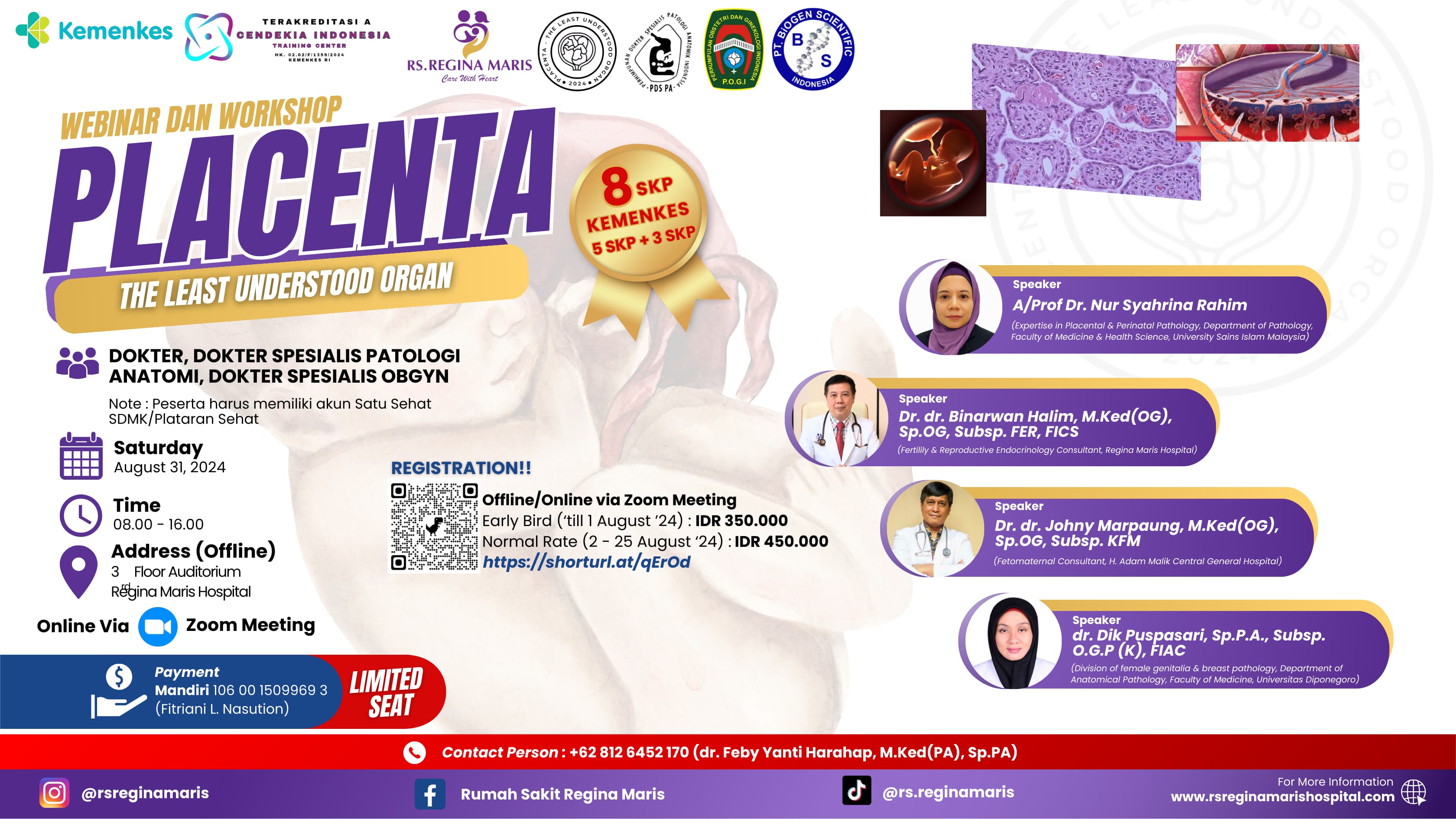 Placenta  The Least Understood Organ
